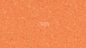 Линолеум Taralay Premium Compact Barazilia 8157 GOIAS фото 1 | FLOORDEALER